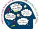 Boost Your Brain