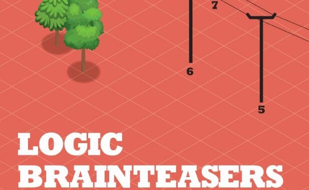 Logic Brainteasers Cover