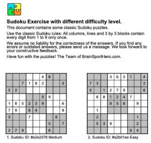 Screenshot of the Sudoku PDF Document
