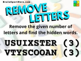 Remove Letter Word puzzle Cover