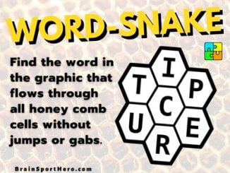 Word Snake Cover Image